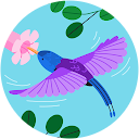 Sonia Creuzet profile picture